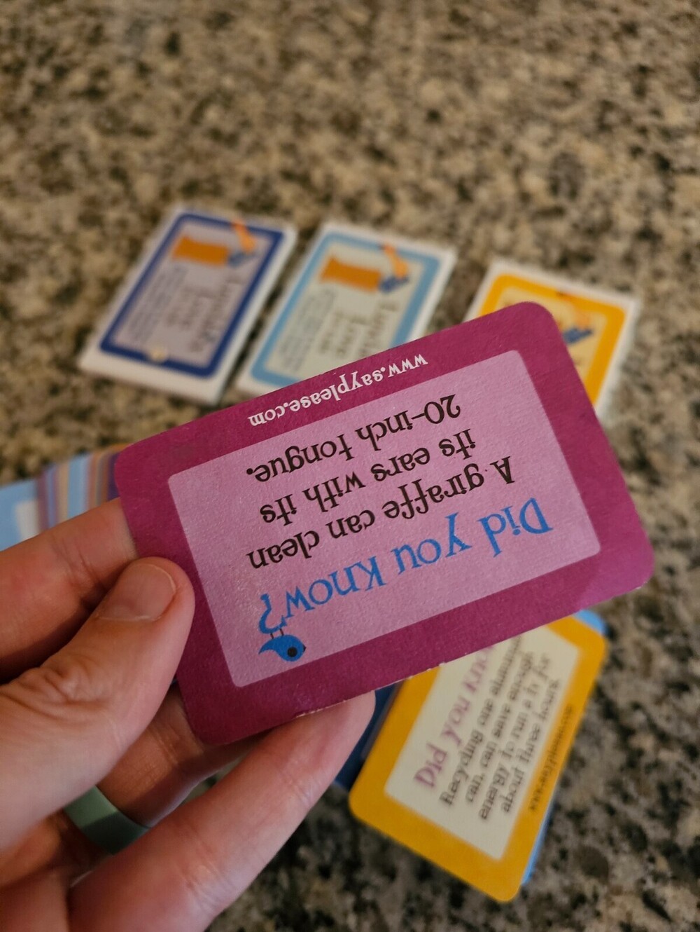 Lunchbox Love Notes for Kids Say Please lot of positive lunch notes fun trivia - Picture 3 of 3